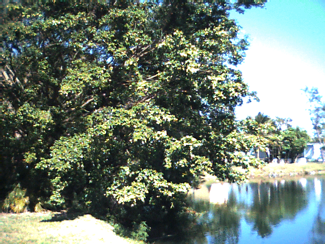 Coral Lake in Coconut Creek Florida Home